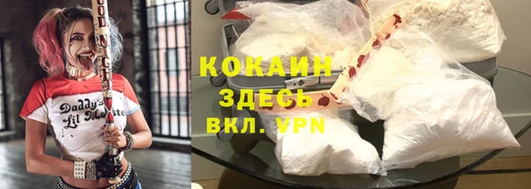 дживик Карпинск