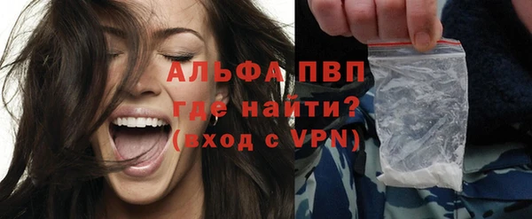 дживик Касимов