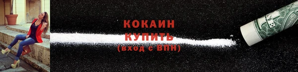 дживик Карпинск