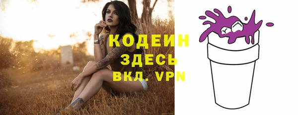 дживик Карпинск