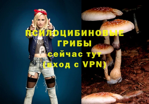 крисы Карталы