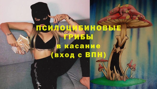 дживик Карпинск