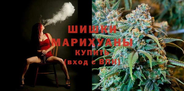 дживик Карпинск