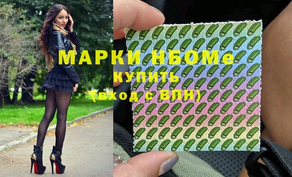 дживик Касимов