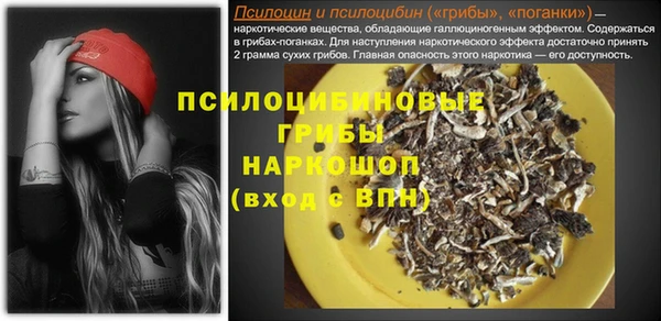 дживик Карпинск