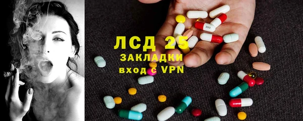 дживик Карпинск