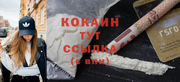 дживик Касимов