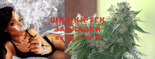 дживик Касимов