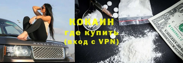 дживик Касимов