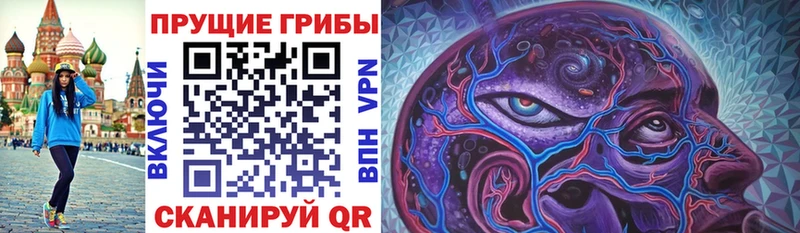 Галлюциногенные грибы прущие грибы  Купить закладки  Тотьма 