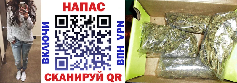 Купить где  Тотьма  Бошки Шишки ГИДРОПОН 